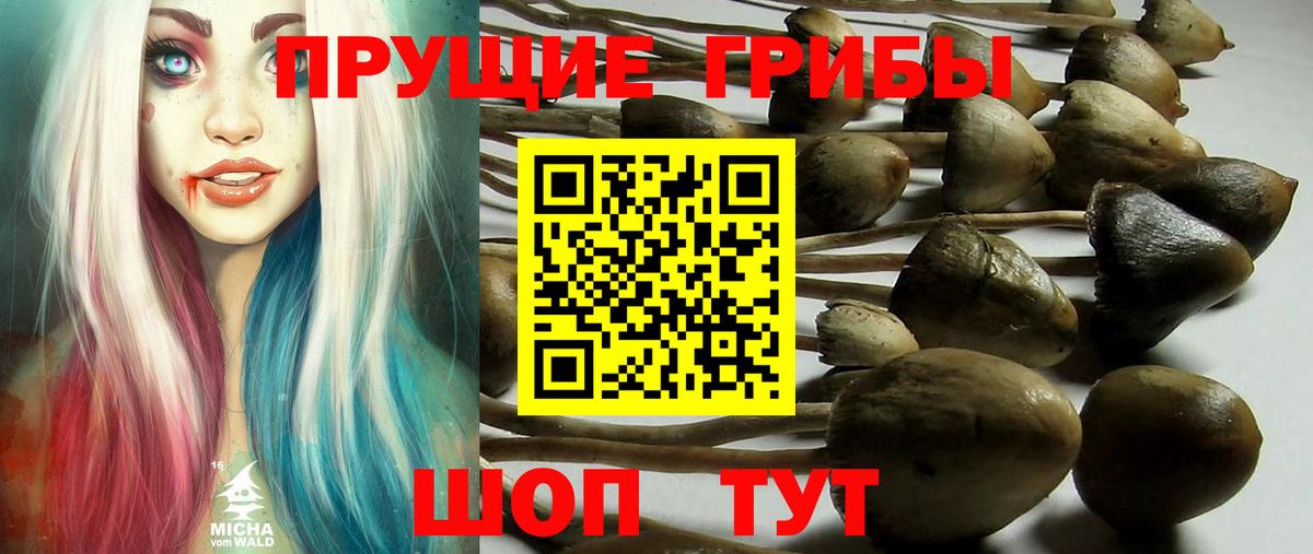 APVP СОЛЬ кристаллы  Лсд 25  Меф   ГАШИШ  Баксан  COCAIN  Вход с VPN  Конопля 