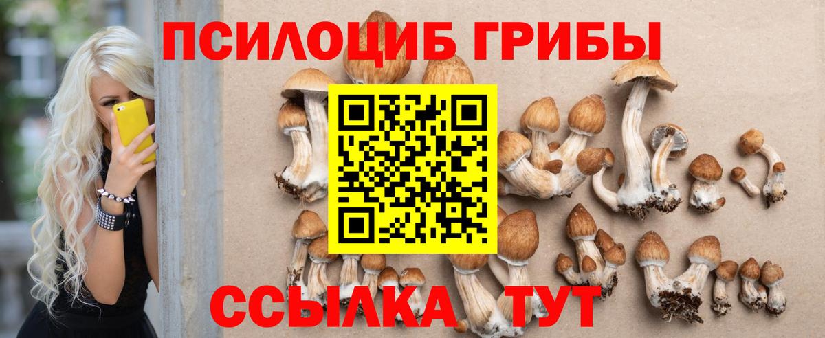 Псилоцибиновые грибы мухоморы  Вход с VPN  Баксан 