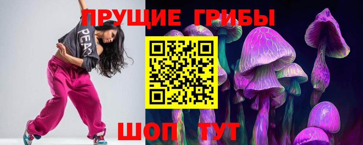 Псилоцибиновые грибы Psilocybe Баксан